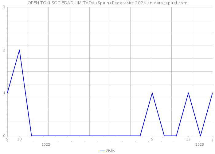 OPEN TOKI SOCIEDAD LIMITADA (Spain) Page visits 2024 