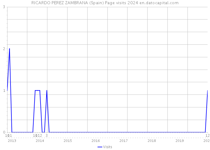 RICARDO PEREZ ZAMBRANA (Spain) Page visits 2024 