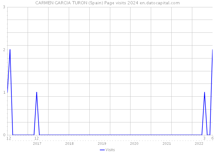 CARMEN GARCIA TURON (Spain) Page visits 2024 