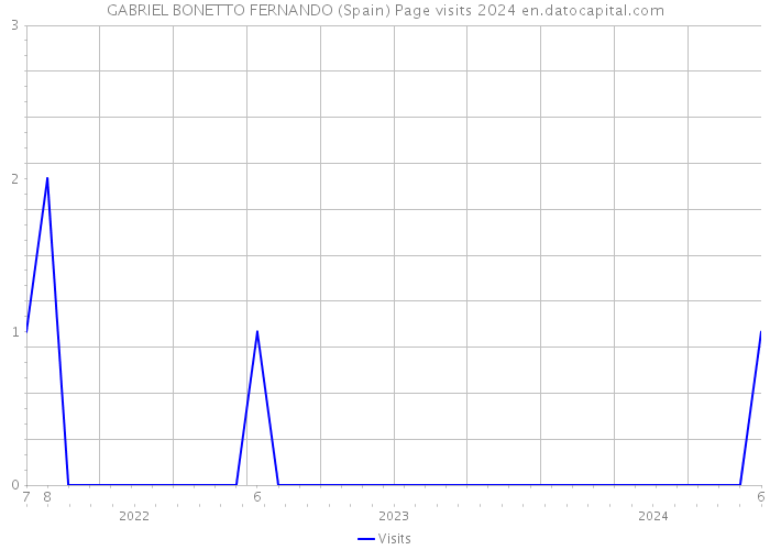 GABRIEL BONETTO FERNANDO (Spain) Page visits 2024 