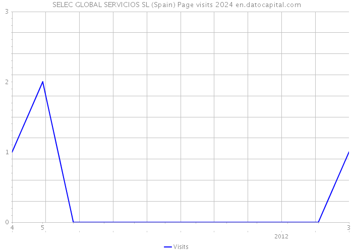 SELEC GLOBAL SERVICIOS SL (Spain) Page visits 2024 