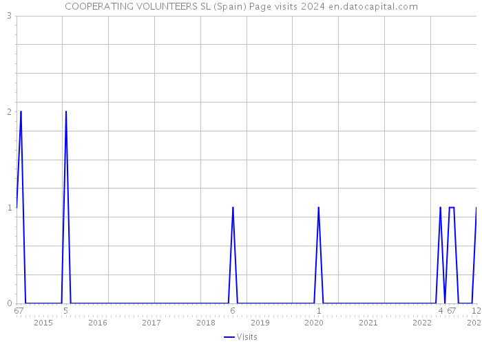 COOPERATING VOLUNTEERS SL (Spain) Page visits 2024 
