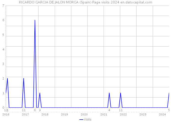 RICARDO GARCIA DE JALON MORGA (Spain) Page visits 2024 