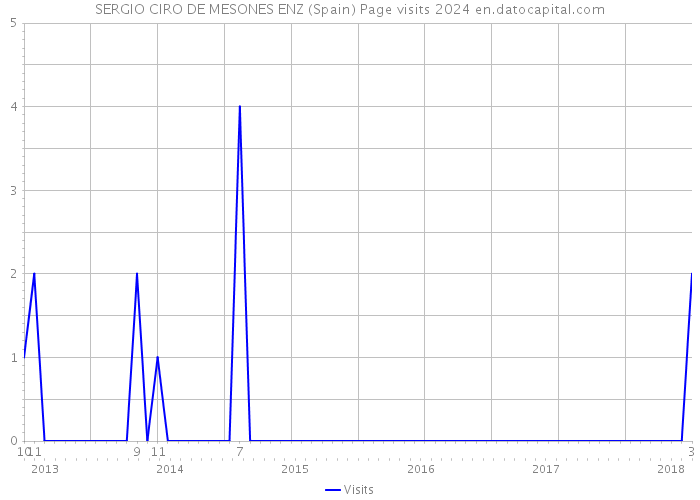 SERGIO CIRO DE MESONES ENZ (Spain) Page visits 2024 