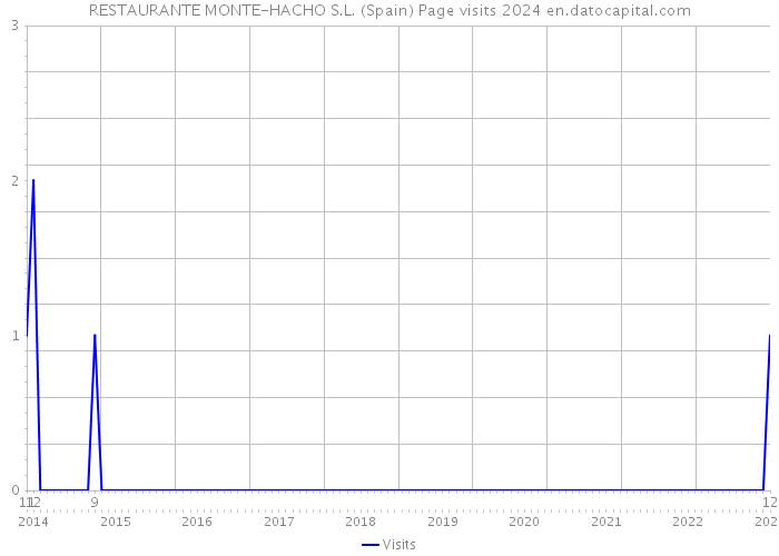 RESTAURANTE MONTE-HACHO S.L. (Spain) Page visits 2024 