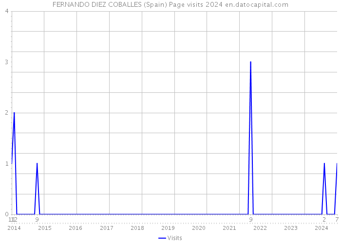 FERNANDO DIEZ COBALLES (Spain) Page visits 2024 