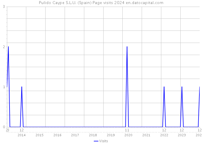 Pulido Caype S.L.U. (Spain) Page visits 2024 