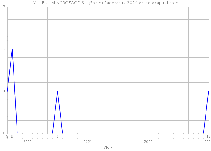 MILLENIUM AGROFOOD S.L (Spain) Page visits 2024 