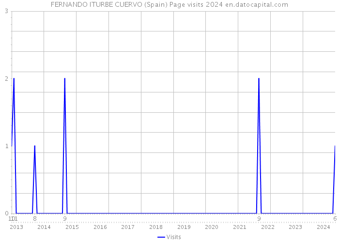 FERNANDO ITURBE CUERVO (Spain) Page visits 2024 