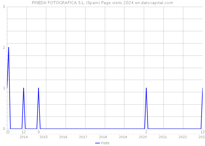 PINEDA FOTOGRAFICA S.L. (Spain) Page visits 2024 