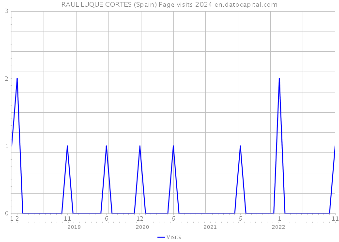 RAUL LUQUE CORTES (Spain) Page visits 2024 