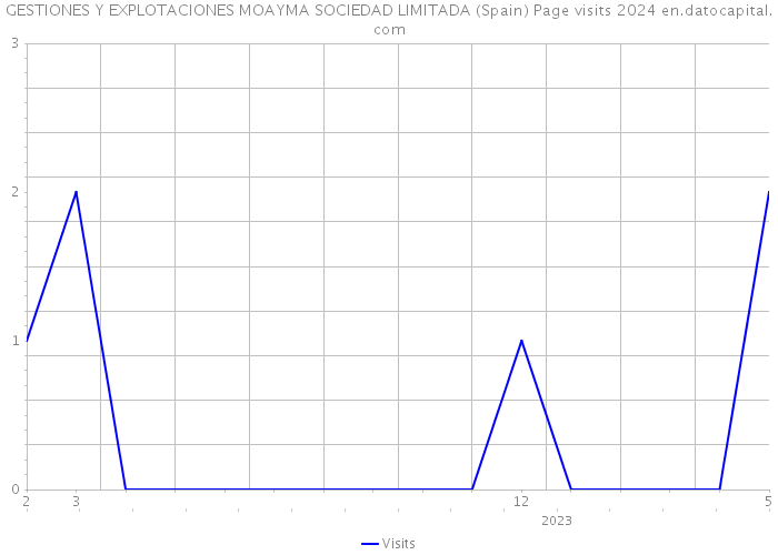 GESTIONES Y EXPLOTACIONES MOAYMA SOCIEDAD LIMITADA (Spain) Page visits 2024 