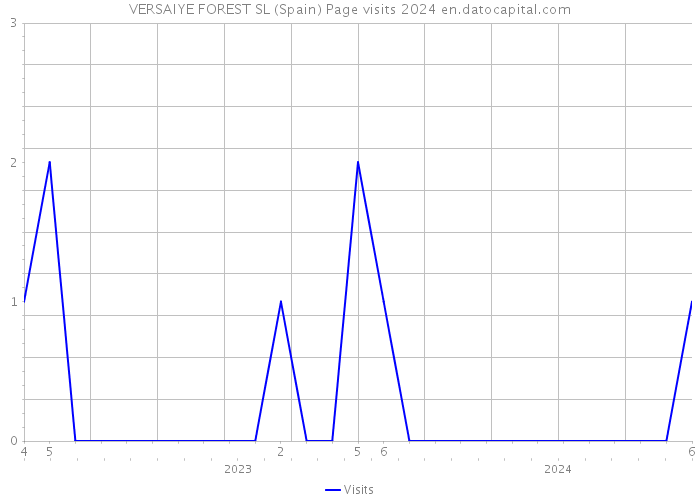 VERSAIYE FOREST SL (Spain) Page visits 2024 