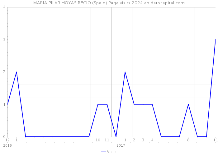 MARIA PILAR HOYAS RECIO (Spain) Page visits 2024 