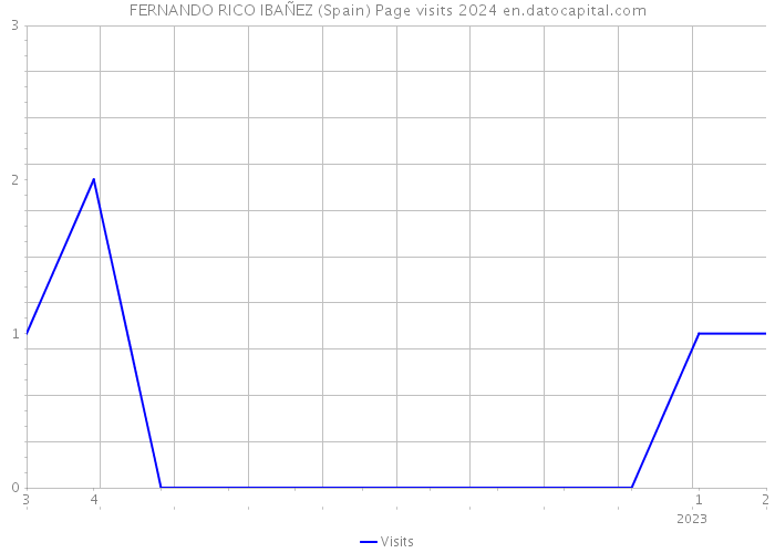 FERNANDO RICO IBAÑEZ (Spain) Page visits 2024 