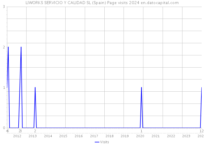 LIWORKS SERVICIO Y CALIDAD SL (Spain) Page visits 2024 