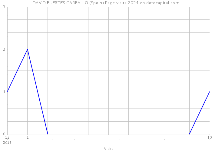 DAVID FUERTES CARBALLO (Spain) Page visits 2024 