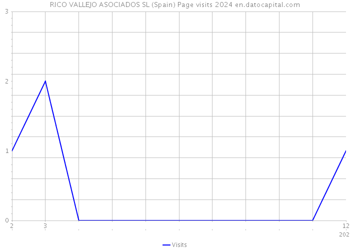 RICO VALLEJO ASOCIADOS SL (Spain) Page visits 2024 