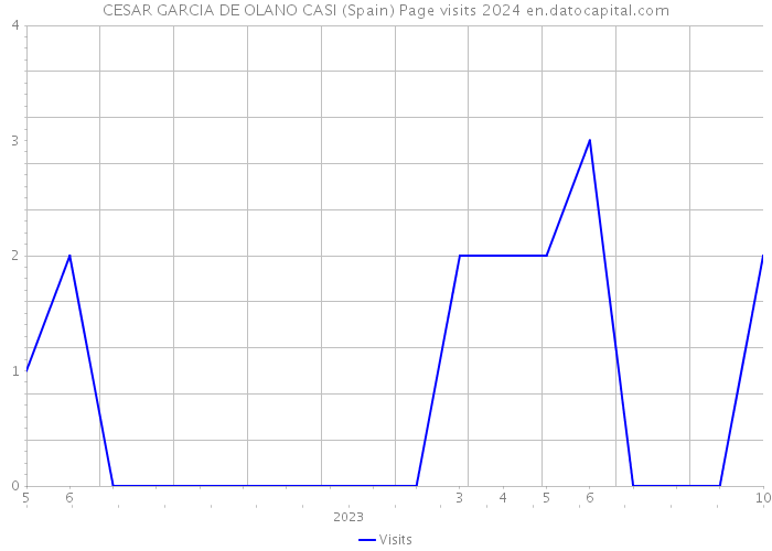 CESAR GARCIA DE OLANO CASI (Spain) Page visits 2024 
