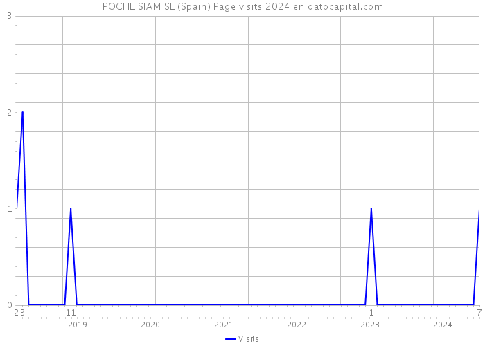 POCHE SIAM SL (Spain) Page visits 2024 