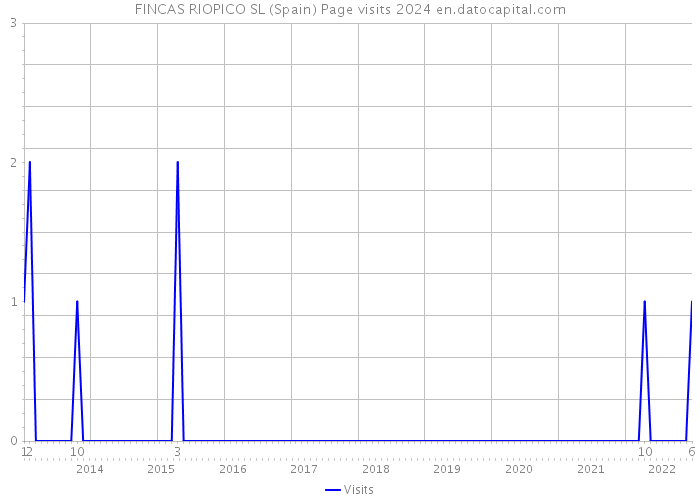 FINCAS RIOPICO SL (Spain) Page visits 2024 