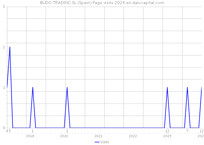 BUDO TRADING SL (Spain) Page visits 2024 