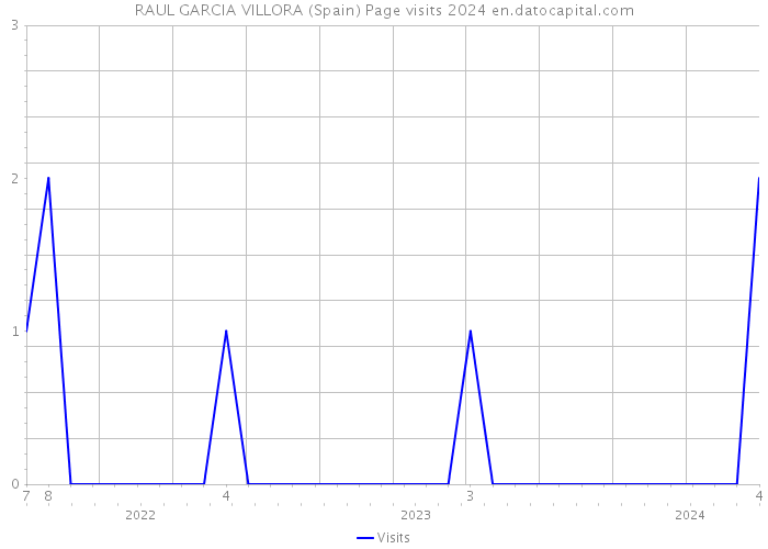 RAUL GARCIA VILLORA (Spain) Page visits 2024 