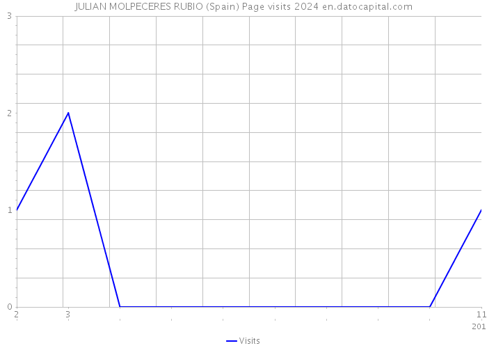 JULIAN MOLPECERES RUBIO (Spain) Page visits 2024 