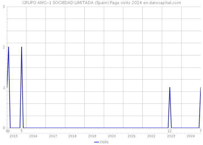 GRUPO AMG-1 SOCIEDAD LIMITADA (Spain) Page visits 2024 