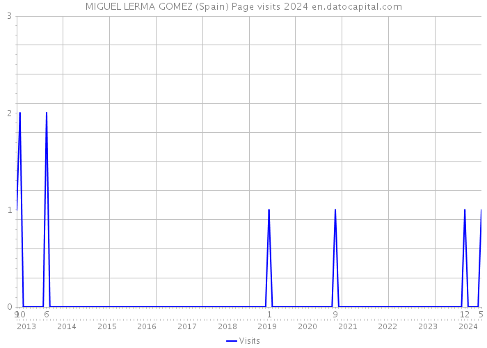 MIGUEL LERMA GOMEZ (Spain) Page visits 2024 