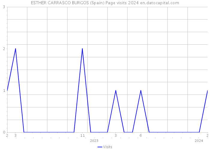 ESTHER CARRASCO BURGOS (Spain) Page visits 2024 