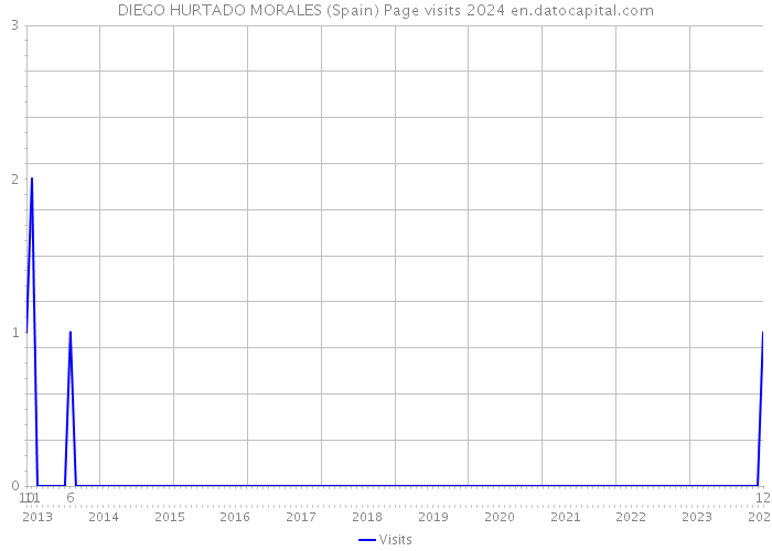 DIEGO HURTADO MORALES (Spain) Page visits 2024 