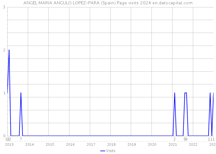 ANGEL MARIA ANGULO LOPEZ-PARA (Spain) Page visits 2024 