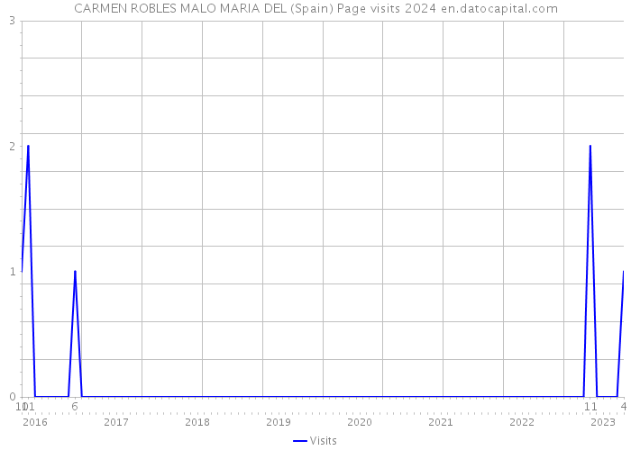 CARMEN ROBLES MALO MARIA DEL (Spain) Page visits 2024 