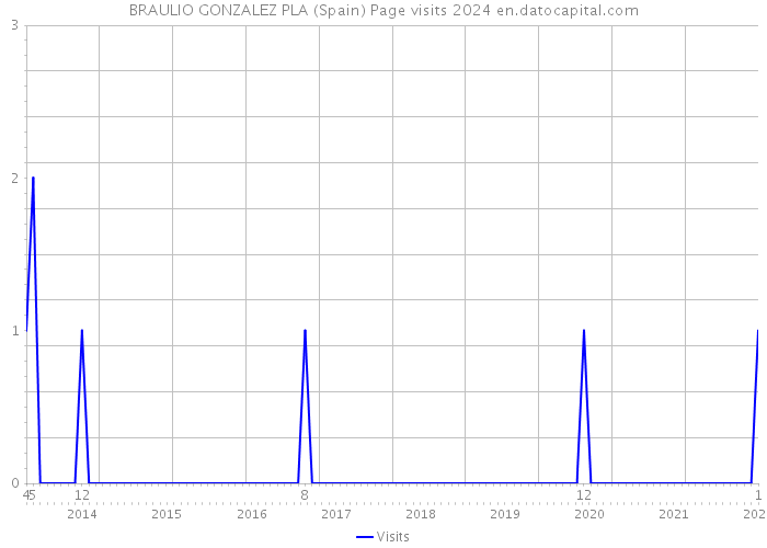 BRAULIO GONZALEZ PLA (Spain) Page visits 2024 