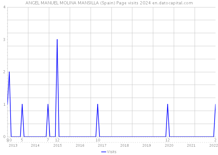 ANGEL MANUEL MOLINA MANSILLA (Spain) Page visits 2024 