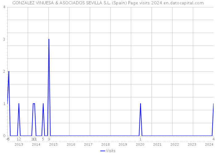 GONZALEZ VINUESA & ASOCIADOS SEVILLA S.L. (Spain) Page visits 2024 