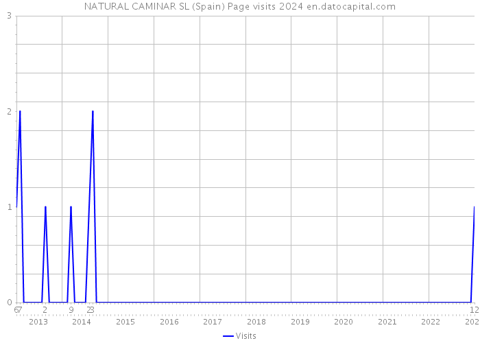 NATURAL CAMINAR SL (Spain) Page visits 2024 