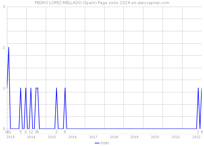 PEDRO LOPEZ MELLADO (Spain) Page visits 2024 