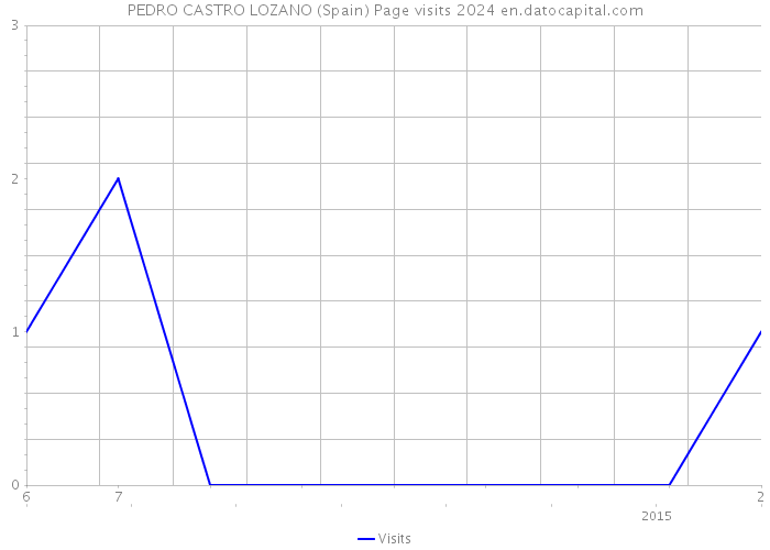 PEDRO CASTRO LOZANO (Spain) Page visits 2024 