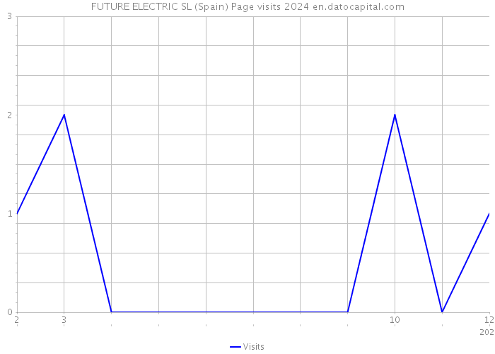 FUTURE ELECTRIC SL (Spain) Page visits 2024 