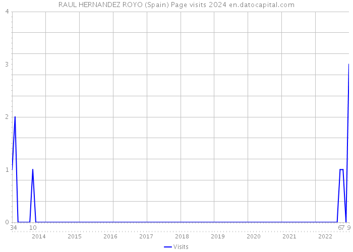 RAUL HERNANDEZ ROYO (Spain) Page visits 2024 