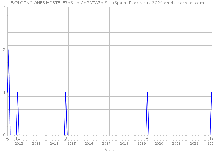 EXPLOTACIONES HOSTELERAS LA CAPATAZA S.L. (Spain) Page visits 2024 