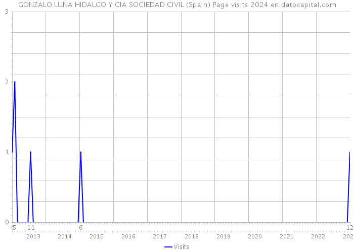 GONZALO LUNA HIDALGO Y CIA SOCIEDAD CIVIL (Spain) Page visits 2024 
