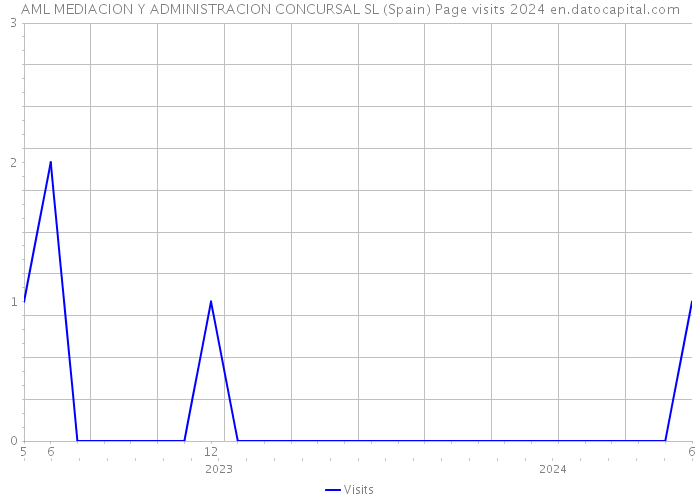 AML MEDIACION Y ADMINISTRACION CONCURSAL SL (Spain) Page visits 2024 