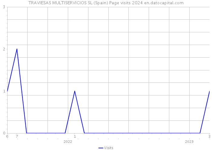 TRAVIESAS MULTISERVICIOS SL (Spain) Page visits 2024 