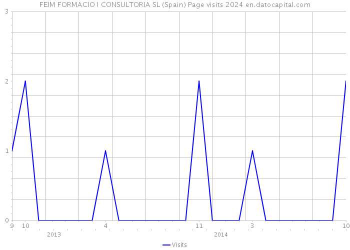 FEIM FORMACIO I CONSULTORIA SL (Spain) Page visits 2024 