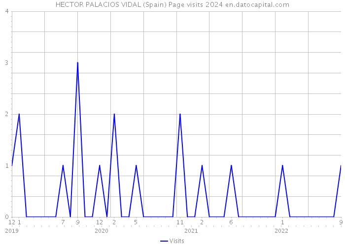 HECTOR PALACIOS VIDAL (Spain) Page visits 2024 