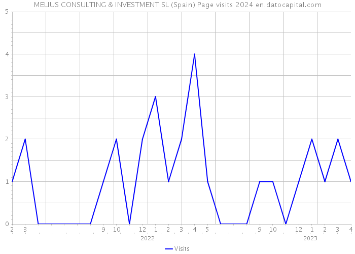 MELIUS CONSULTING & INVESTMENT SL (Spain) Page visits 2024 