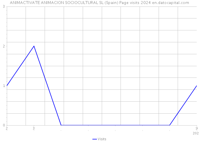 ANIMACTIVATE ANIMACION SOCIOCULTURAL SL (Spain) Page visits 2024 